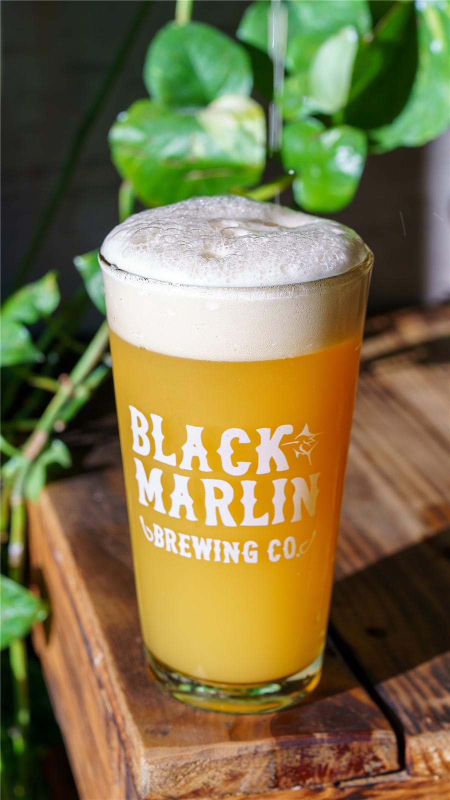 Black Marlin: Fotografía de bebidas en su entorno.